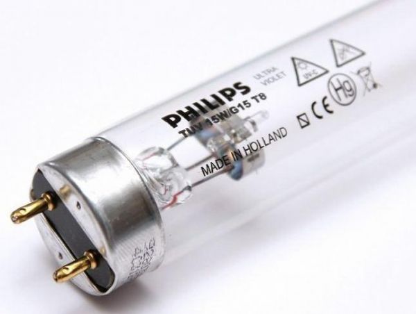 Лампа бактерицидна PHILIPS TUV 15W,G13