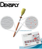 Обтуратори на носії GuttaCore dentsply уп./5+1