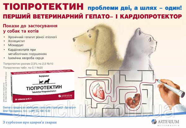Тіопротектин (кардіогепатопротектор) 20тб 0,1г/таб. Артеріум