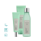 Artistry Skin Nutrition Набор «Матирование и баланс кожи»