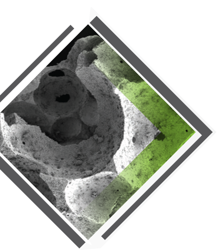 Синтетический заменитель костного трансплантата Bio3 Synthetics BIO3 Beta Bone BIO3 Beta Bone 500-1000, 2,0гр